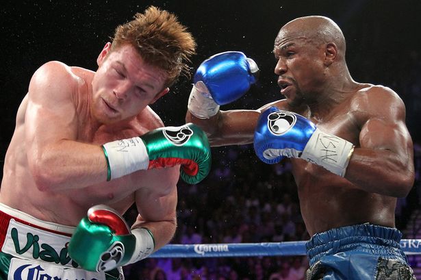 The Canelo vs Floyd snoozer was part of a huge year for Showtime. 