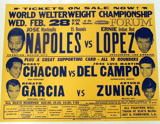 Lopez-Napoles poster