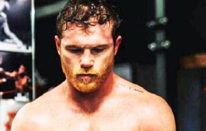 The Canelo Situation